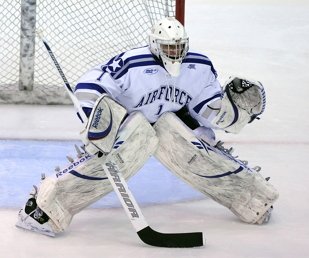 Profiles of the Best Goalies in NHL History